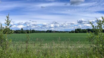 Åkermark i Skogsbo.